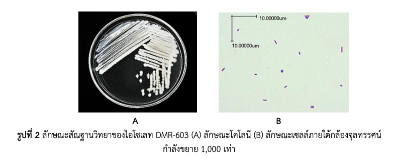 research68-2 image